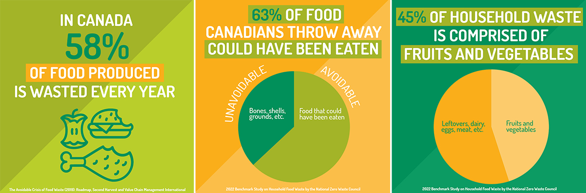 Food waste infographics