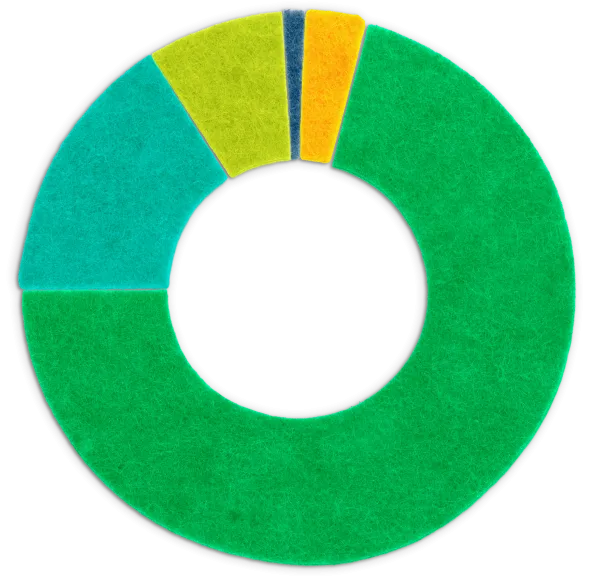 Financials pie chart