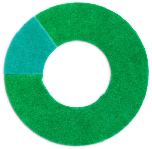 Financials pie chart
