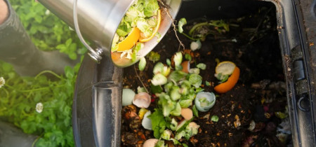 Hand pouring a bucket of food scraps into a composting bin