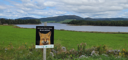 anti littering sign on a scenic trail 