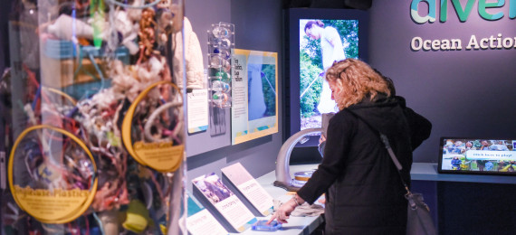 a person looking at the exhibit
