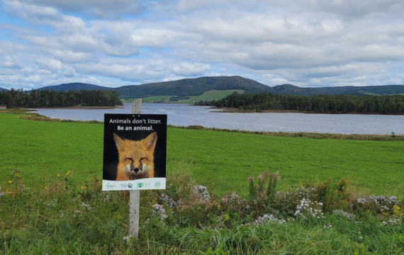 A sign that has a fox on it with the phrase "Animals dont litter. Be an animal." The sign is on a scenic trail with a lake and hill in the backdrop.