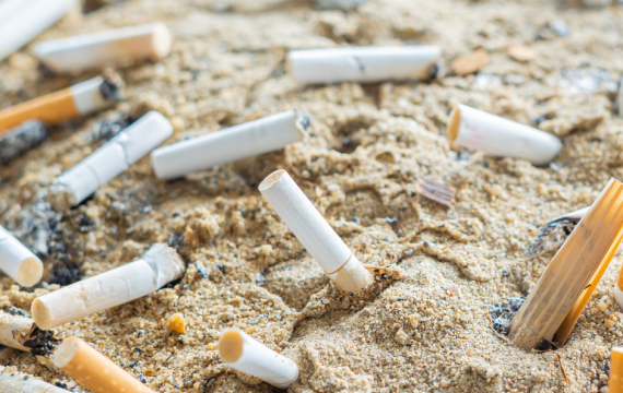 Cigarette butts in the sand