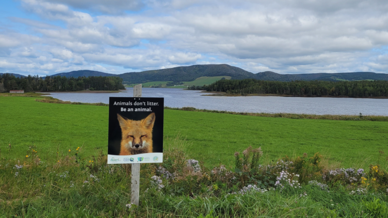 A sign that has a fox on it with the phrase "Animals dont litter. Be an animal." The sign is on a scenic trail with a lake and hill in the backdrop.