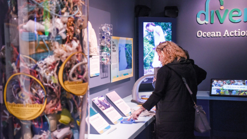 a person looking at the exhibit