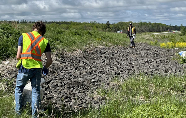 Divert NS staff picking up litter on the road