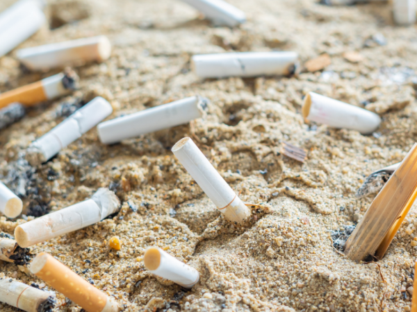 cigarette butts in the sand